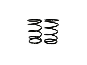 SWORKz GT Black Competition Feder Stoßdämpfer A3 (40x2.2x5.0)(GN)(2)